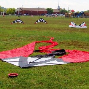 Meet your Posher, Troy